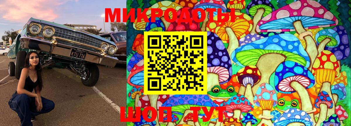 Галлюциногенные грибы ЛСД Кстово