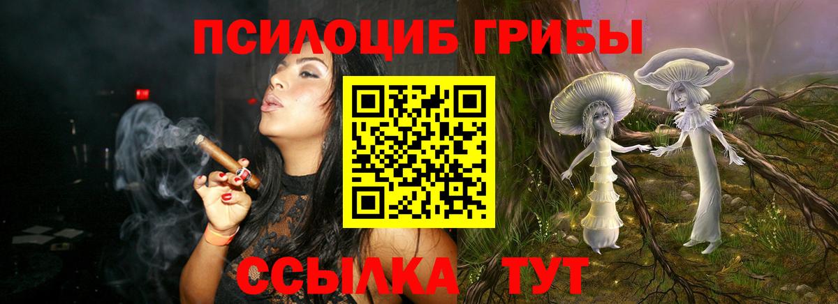 Псилоцибиновые грибы Cubensis  Кстово 